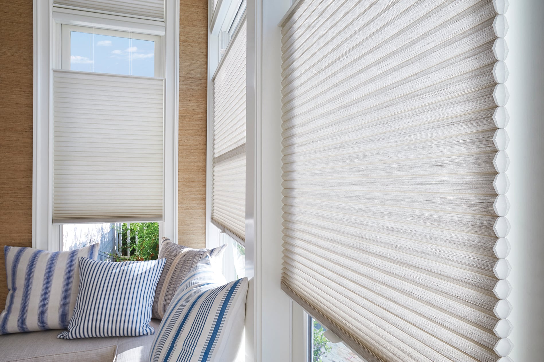 Double-cell honeycomb shades in a contemporary living room